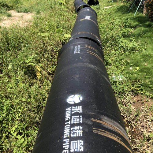 上海（hǎi）世（shì）博會配套管網工程